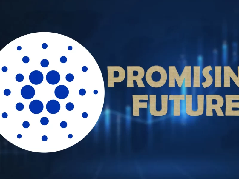 Why Cardano’s Decentralized Governance Offers a Promising Future