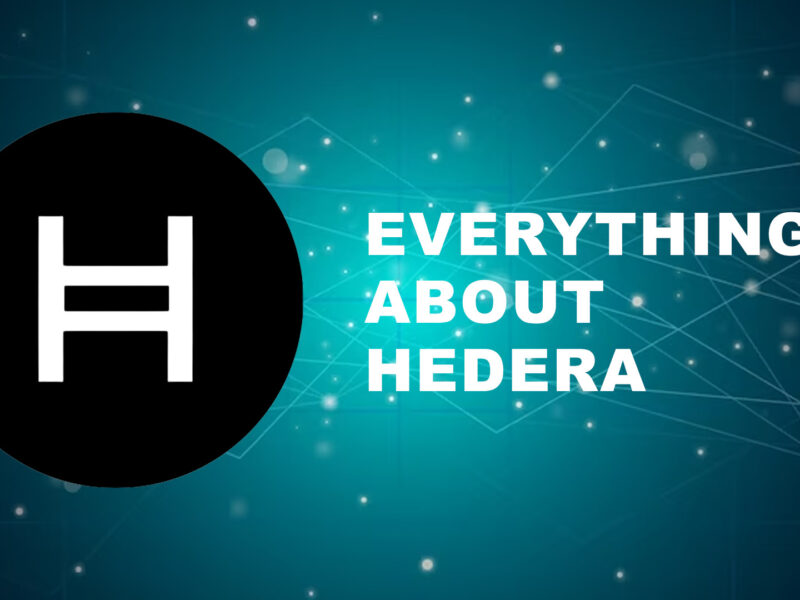 Learn Everything About Hedera, From How it Works to its Use Cases