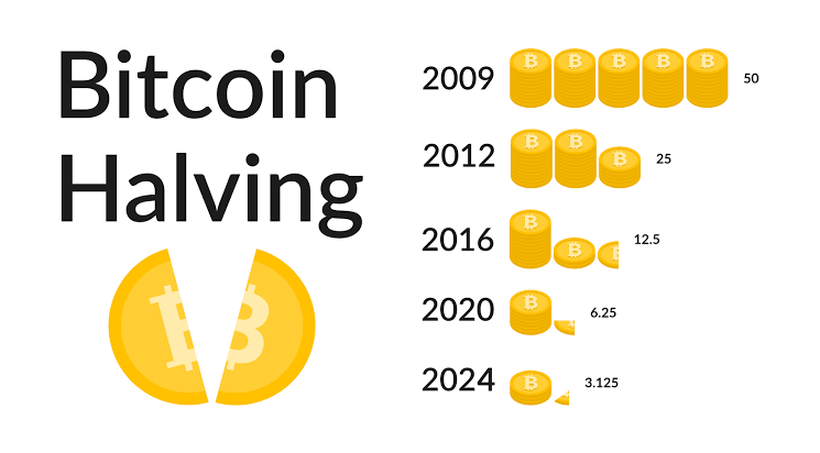 The Ultimate Guide to the 2024 Bitcoin Halving