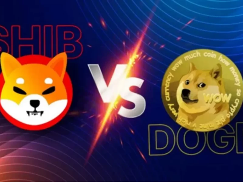 Can SHIB Outpace DOGE in 2024 Analyst Insights