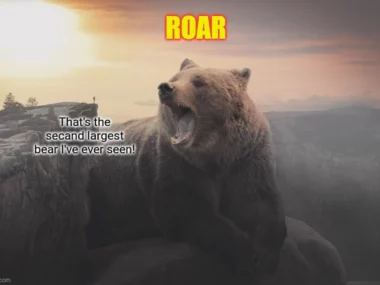 The Roaring Success of Bear Meme